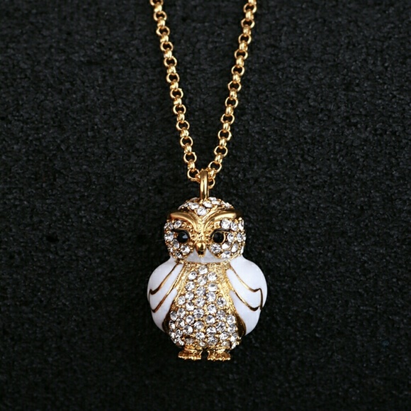 Kate spade owl necklace - Picture 4 of 4